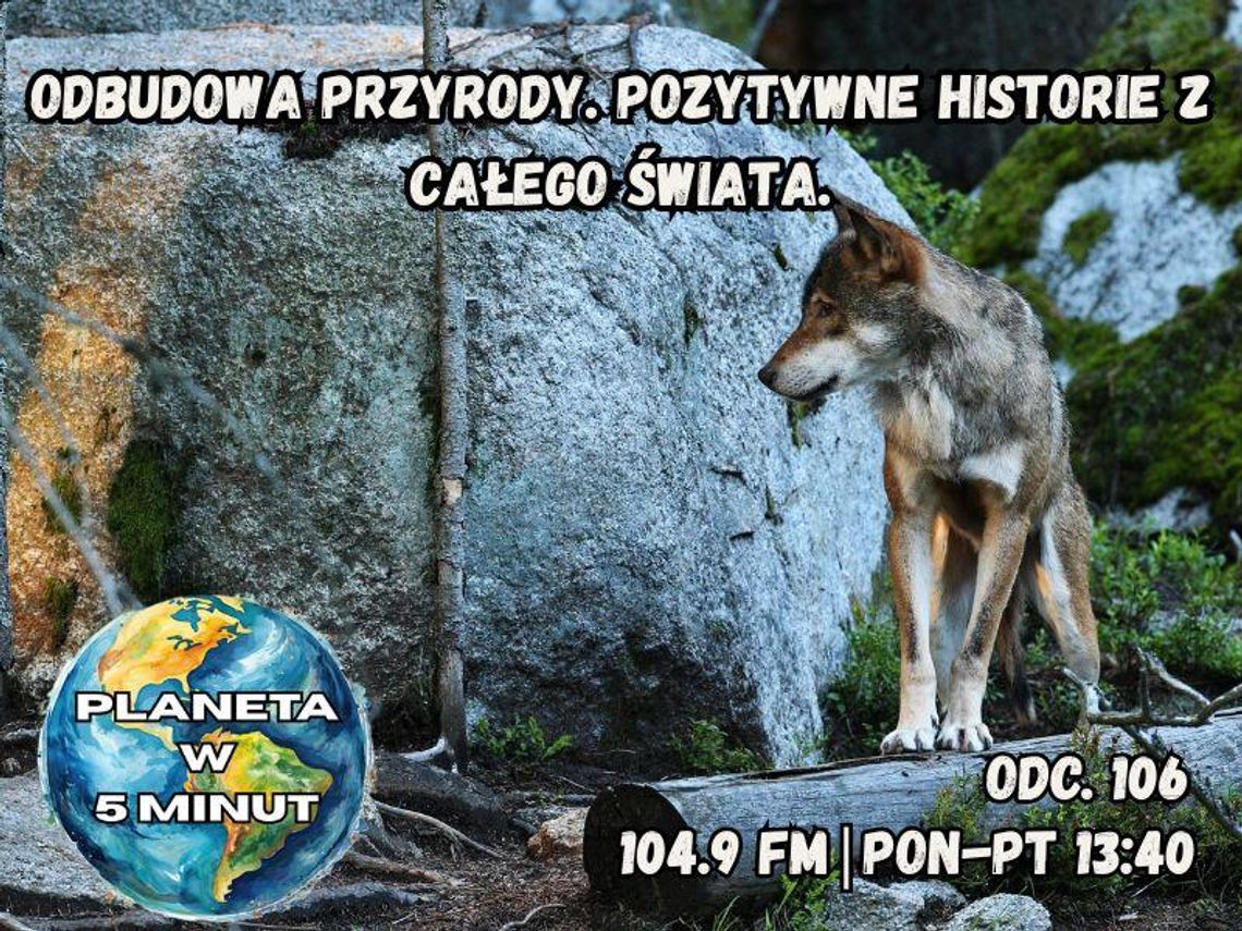 Planeta w 5 minut - odc. 106.