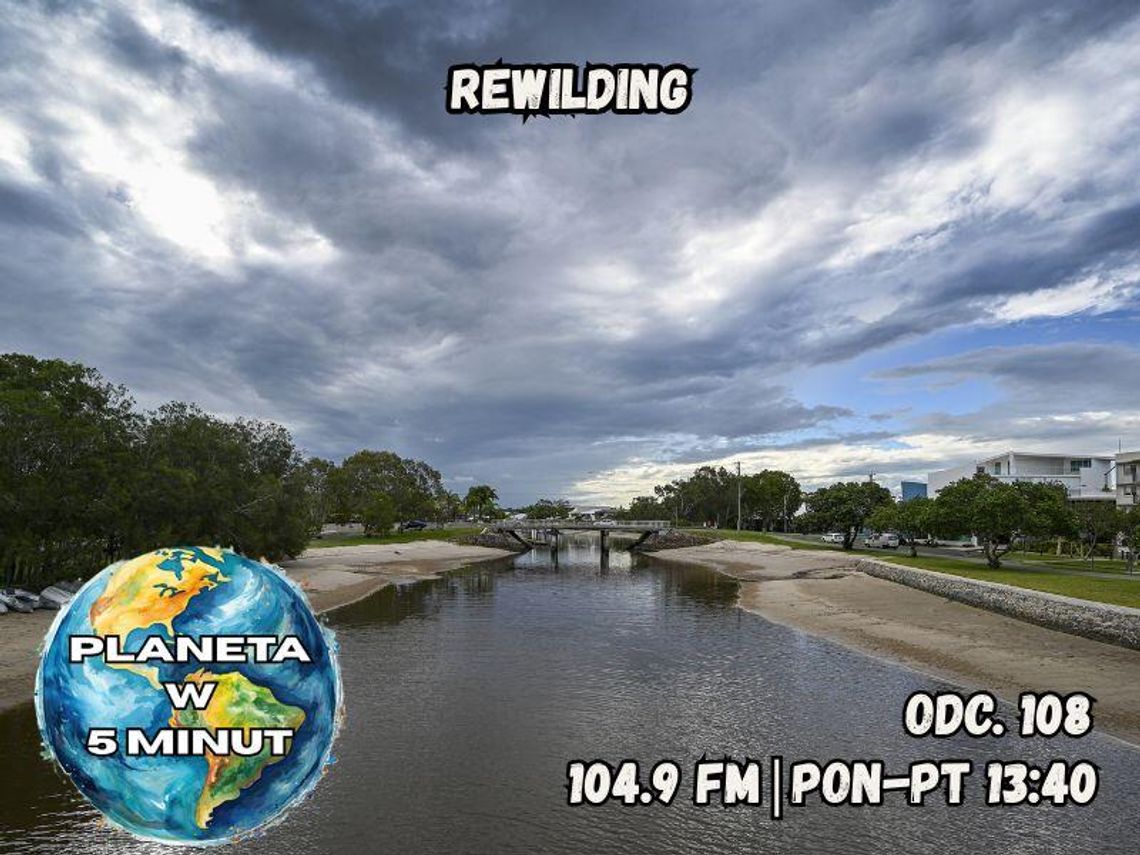 Planeta w 5 minut - odc. 108.