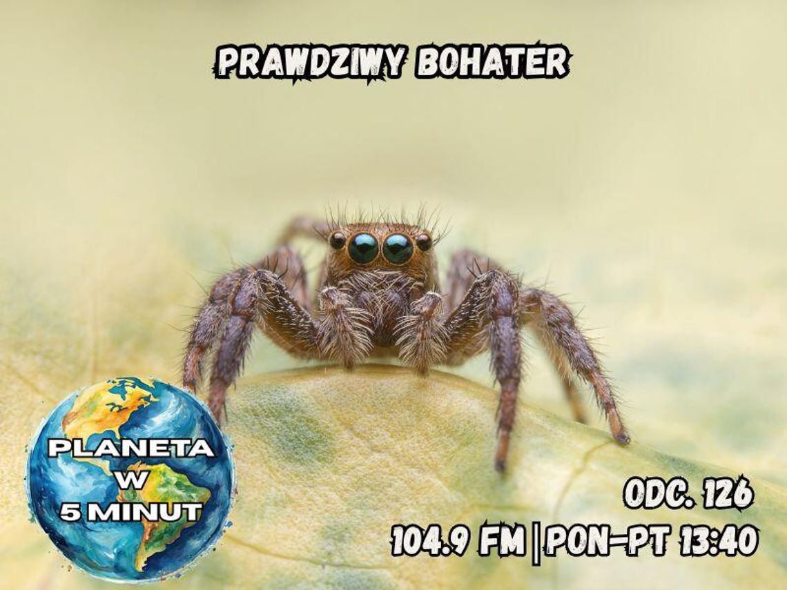 Planeta w 5 minut - odc. 126.