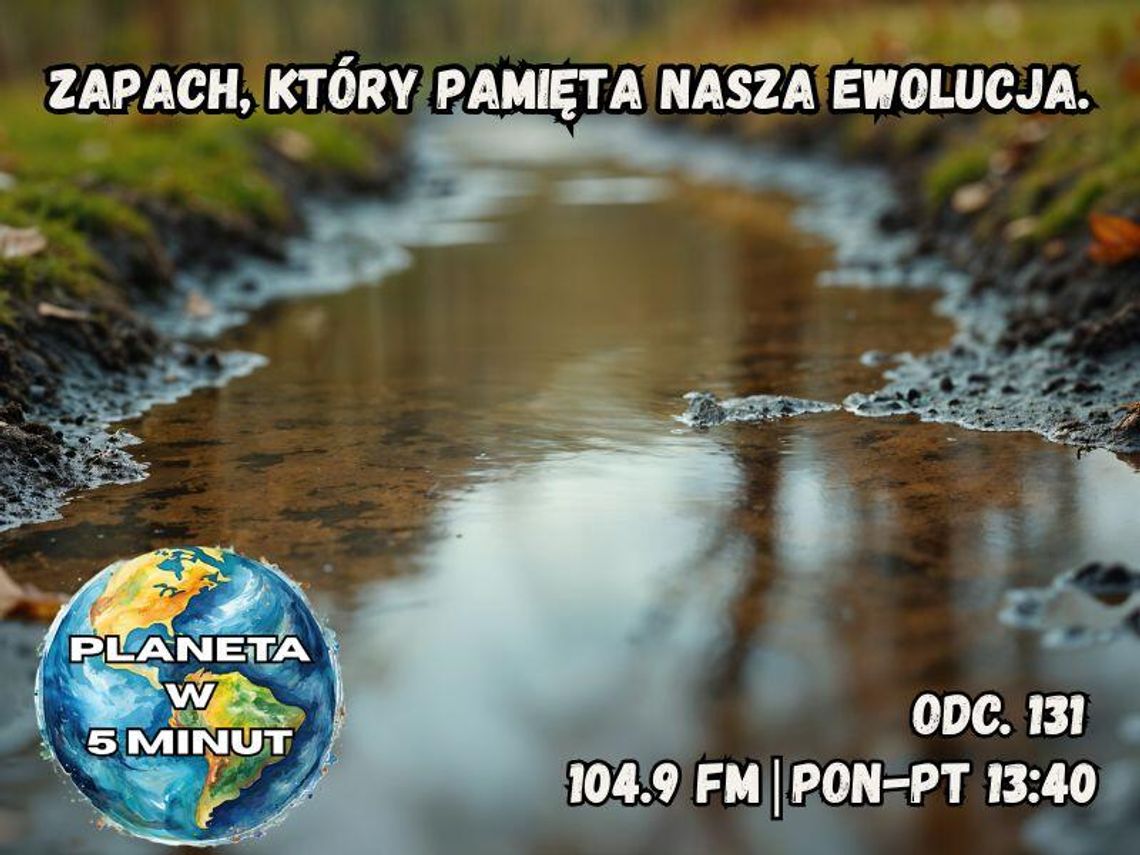 Planeta w 5 minut - odc. 131. Planeta w 5 minut - odc. 131.