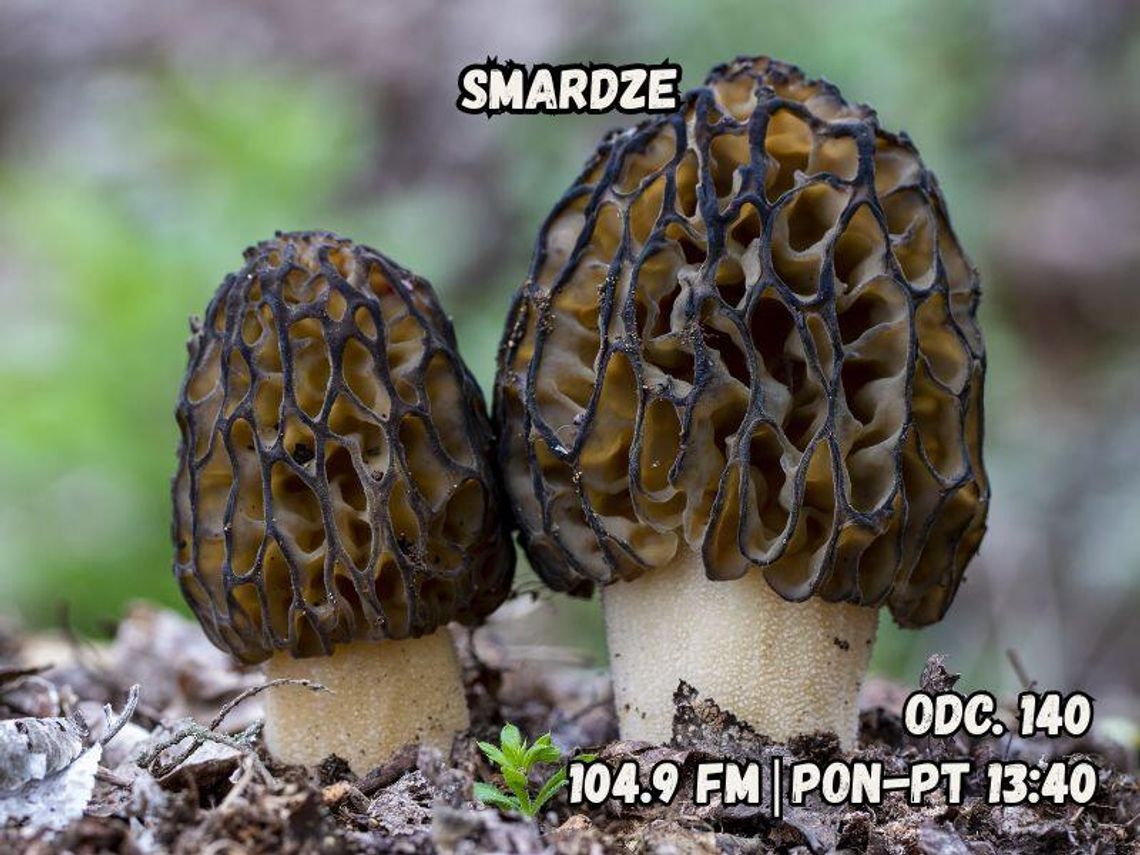 Planeta w 5 minut - odc. 140. Planeta w 5 minut - odc. 140.