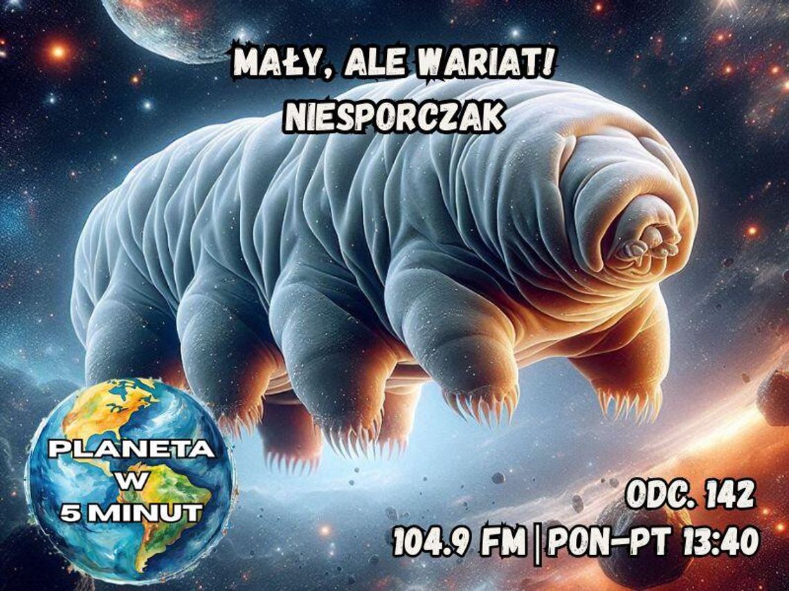 Planeta w 5 minut - odc. 142. Planeta w 5 minut - odc. 142.