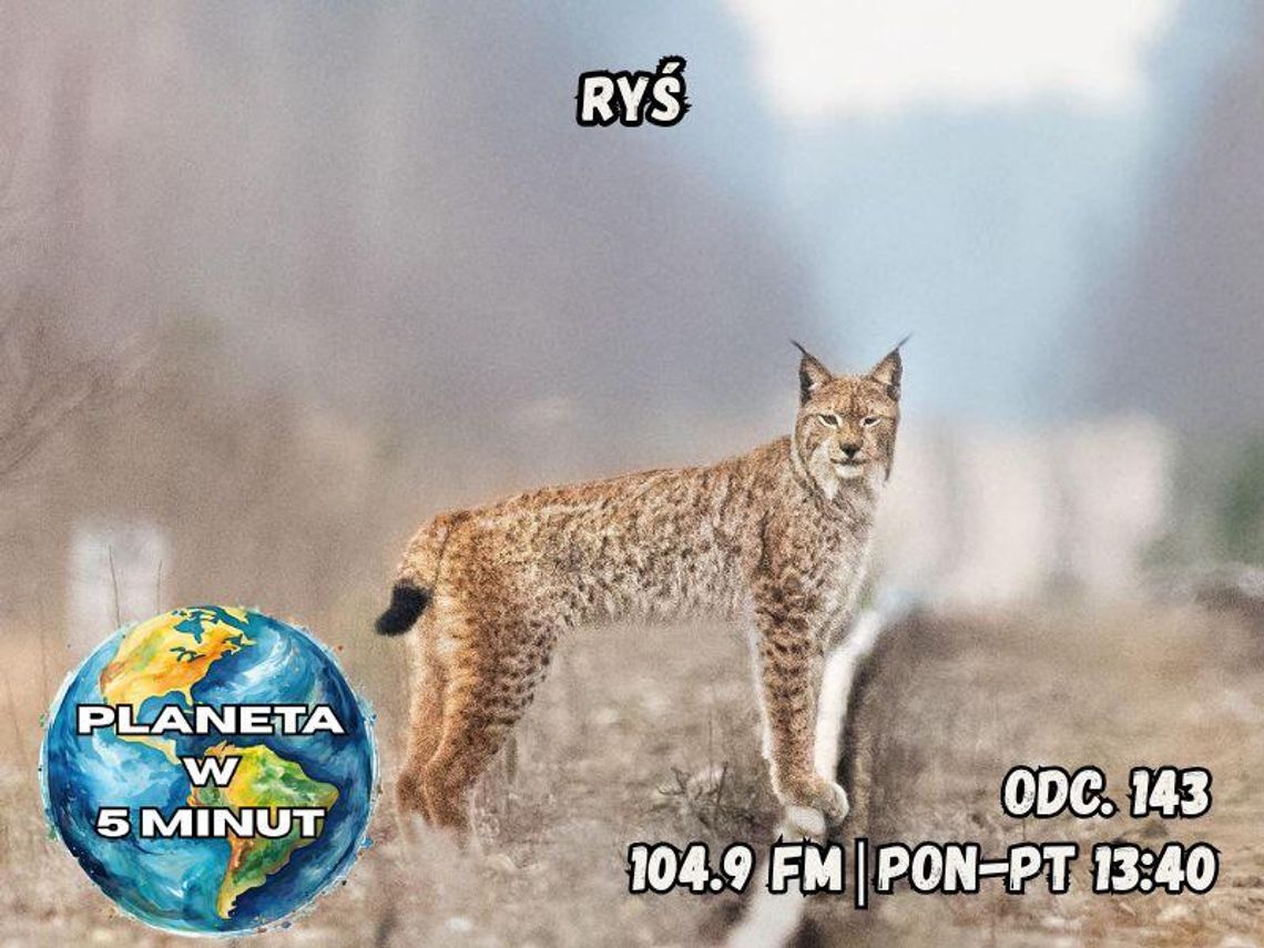 Planeta w 5 minut - odc. 143.