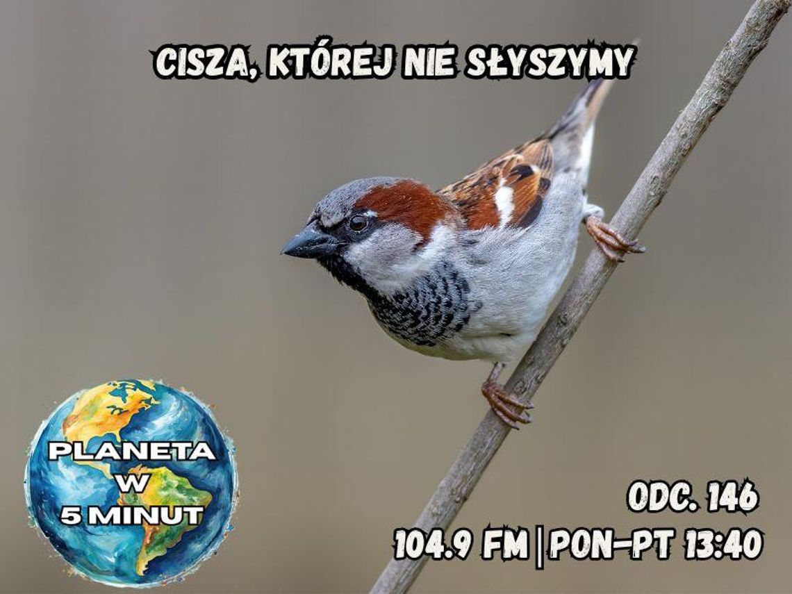 Planeta w 5 minut - odc. 146. Planeta w 5 minut - odc. 146.