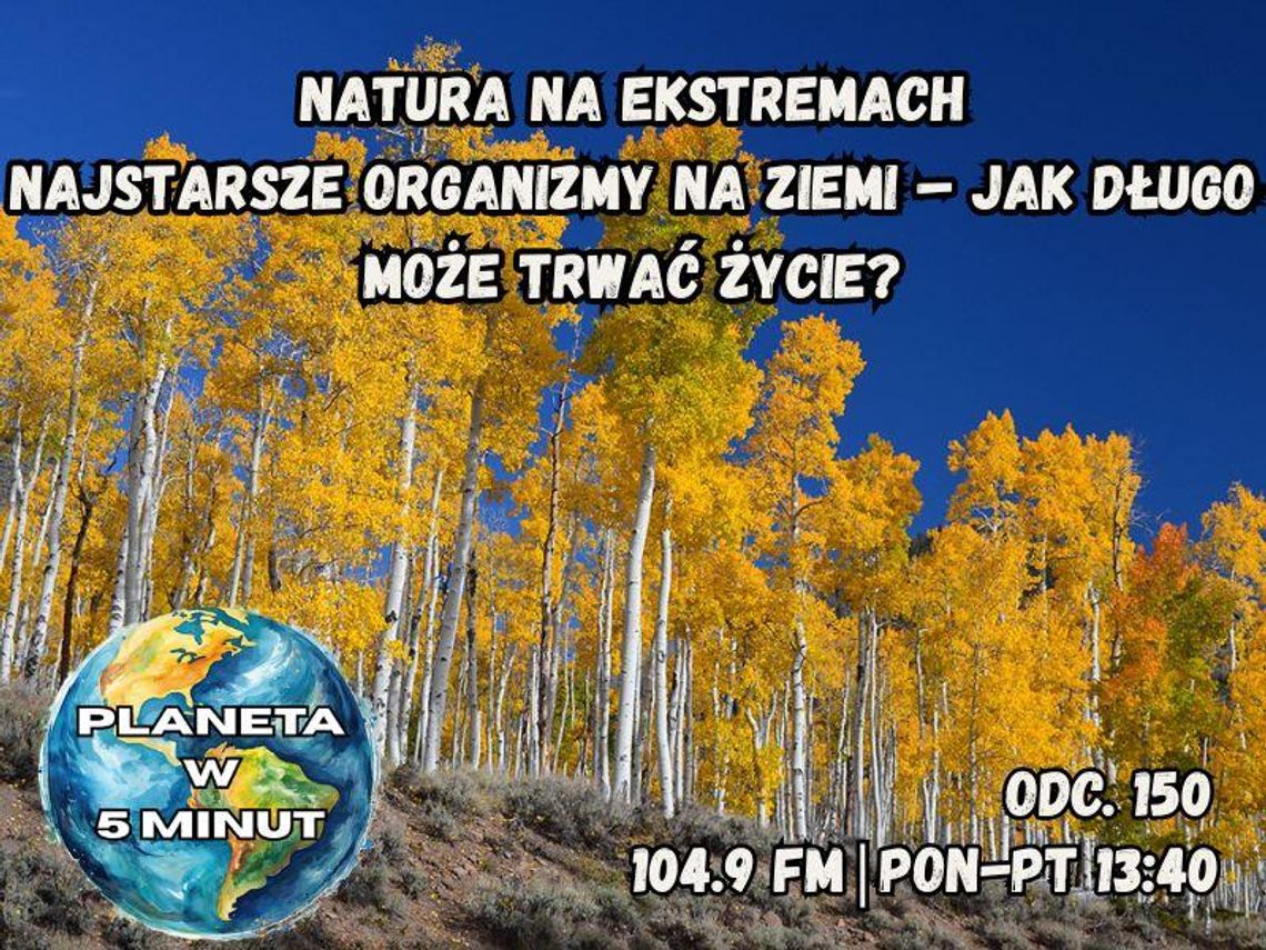 Planeta w 5 minut - odc. 150.
