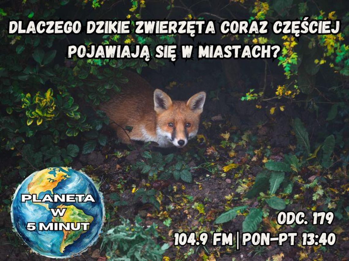 Planeta w 5 minut - odc. 179.