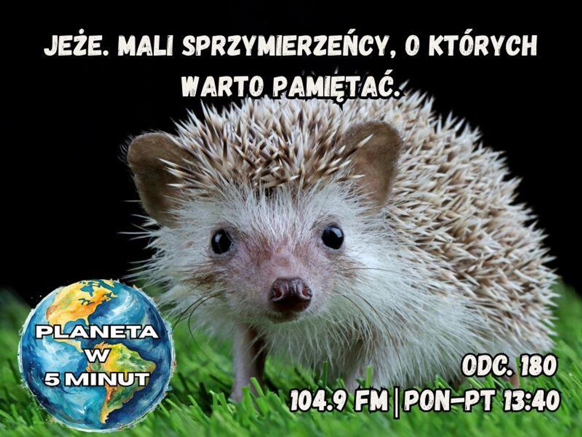 Planeta w 5 minut - odc. 180. Planeta w 5 minut - odc. 180.