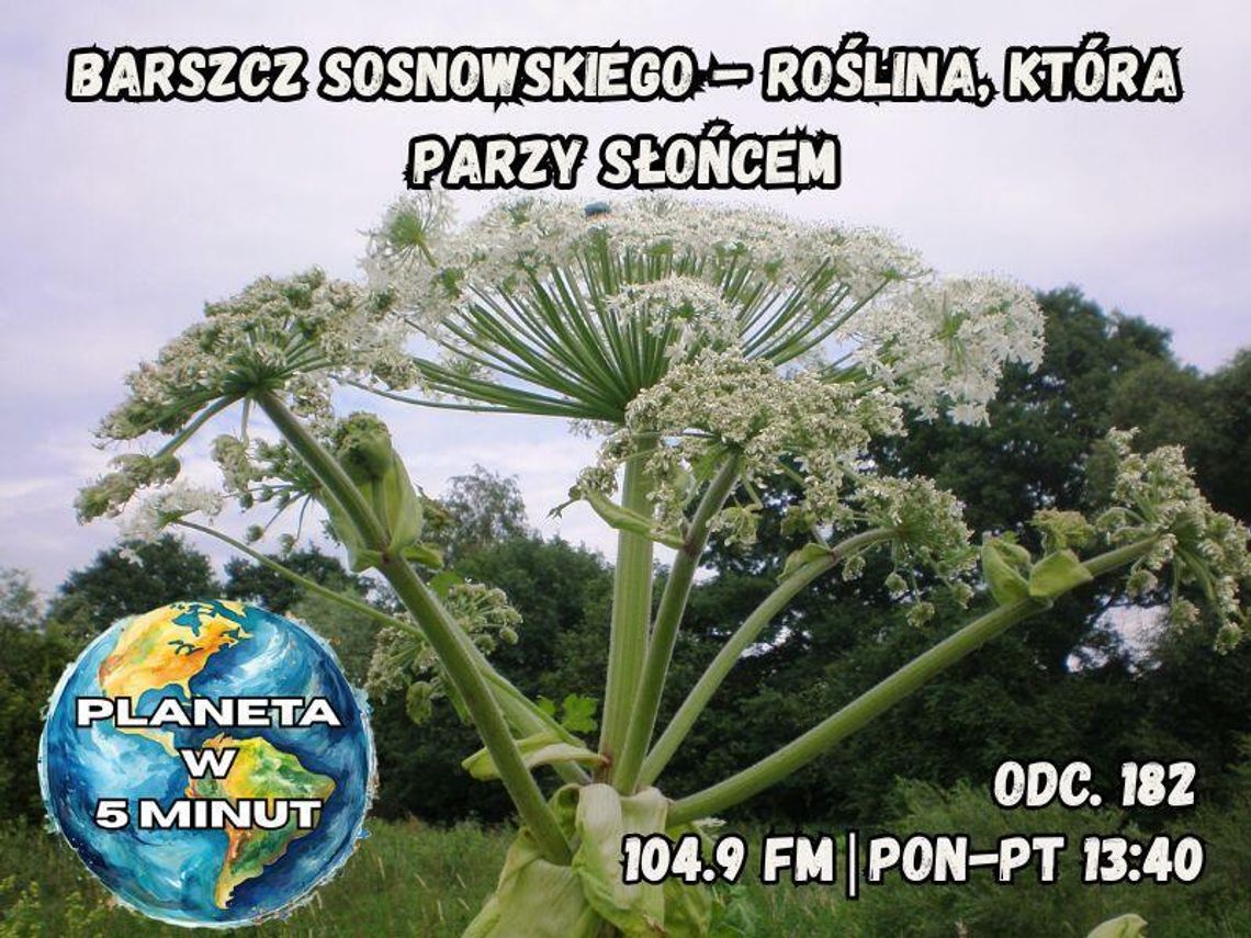 Planeta w 5 minut - odc. 182.