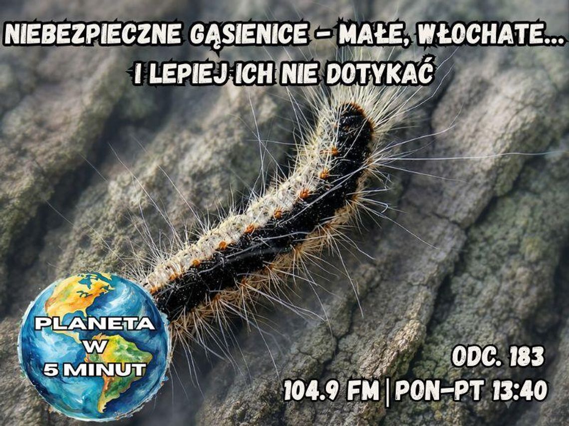 Planeta w 5 minut - odc. 183.