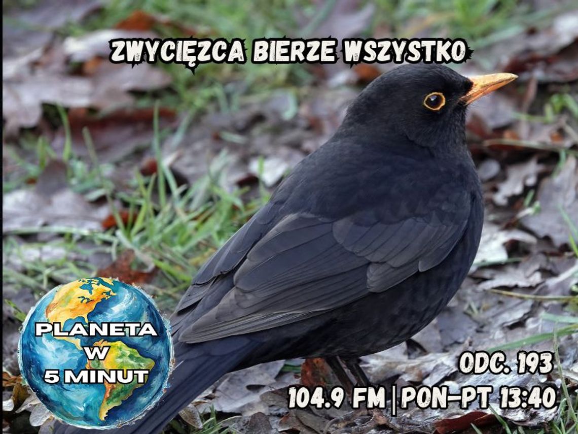 Planeta w 5 minut - odc. 195.
