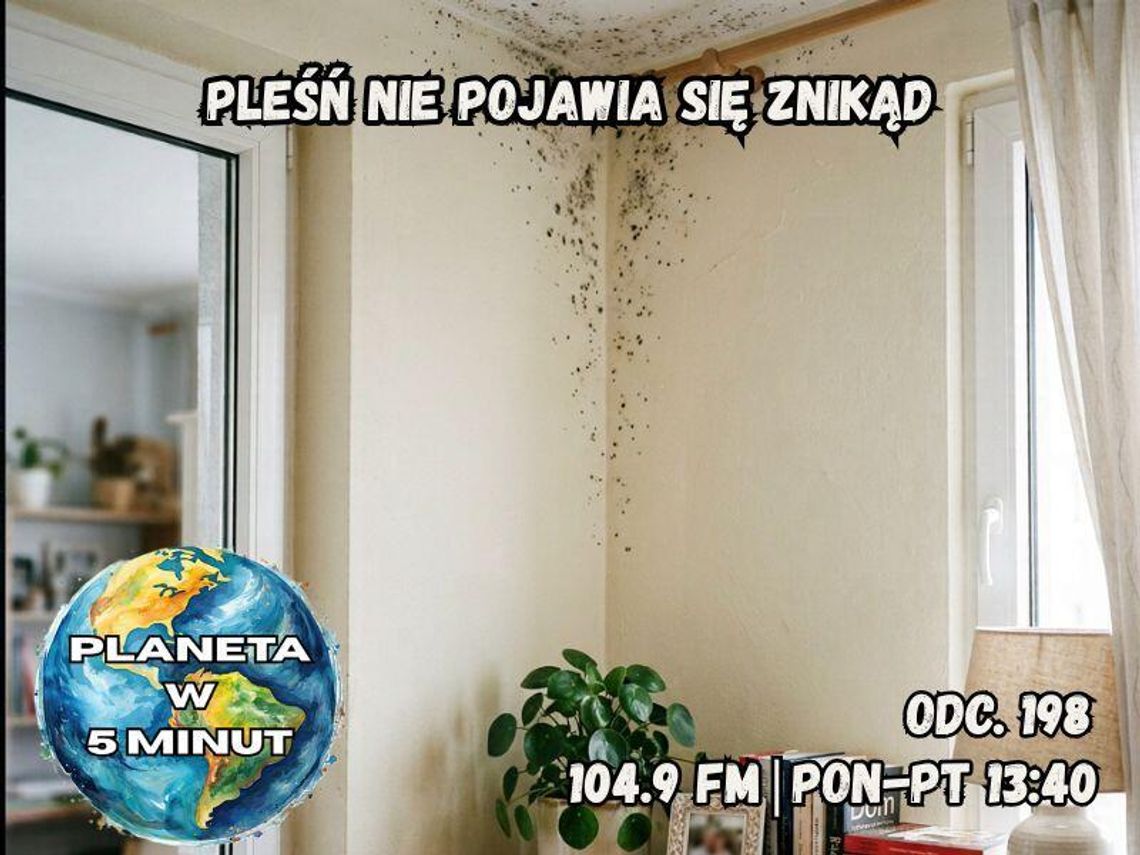 Planeta w 5 minut - odc. 198.