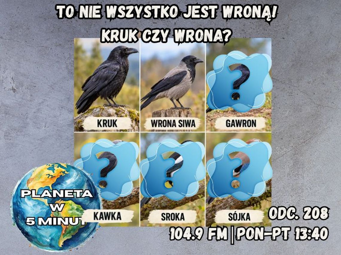 Planeta w 5 minut - odc. 208.