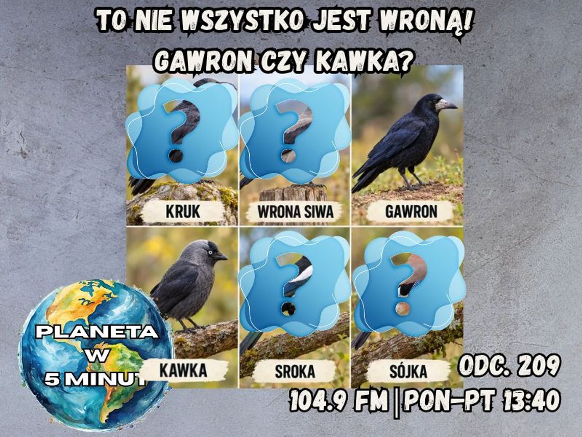Planeta w 5 minut - odc. 209.