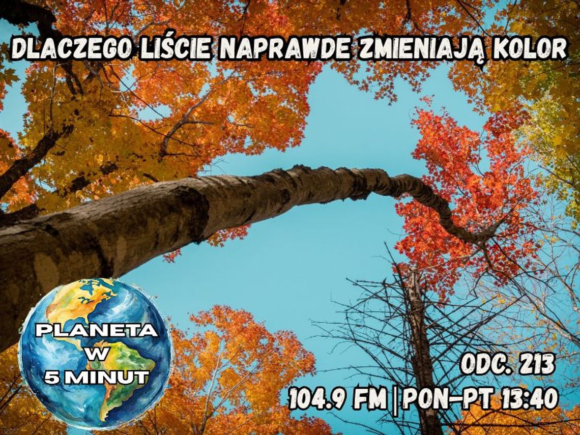 Planeta w 5 minut - odc. 213. Planeta w 5 minut - odc. 213.