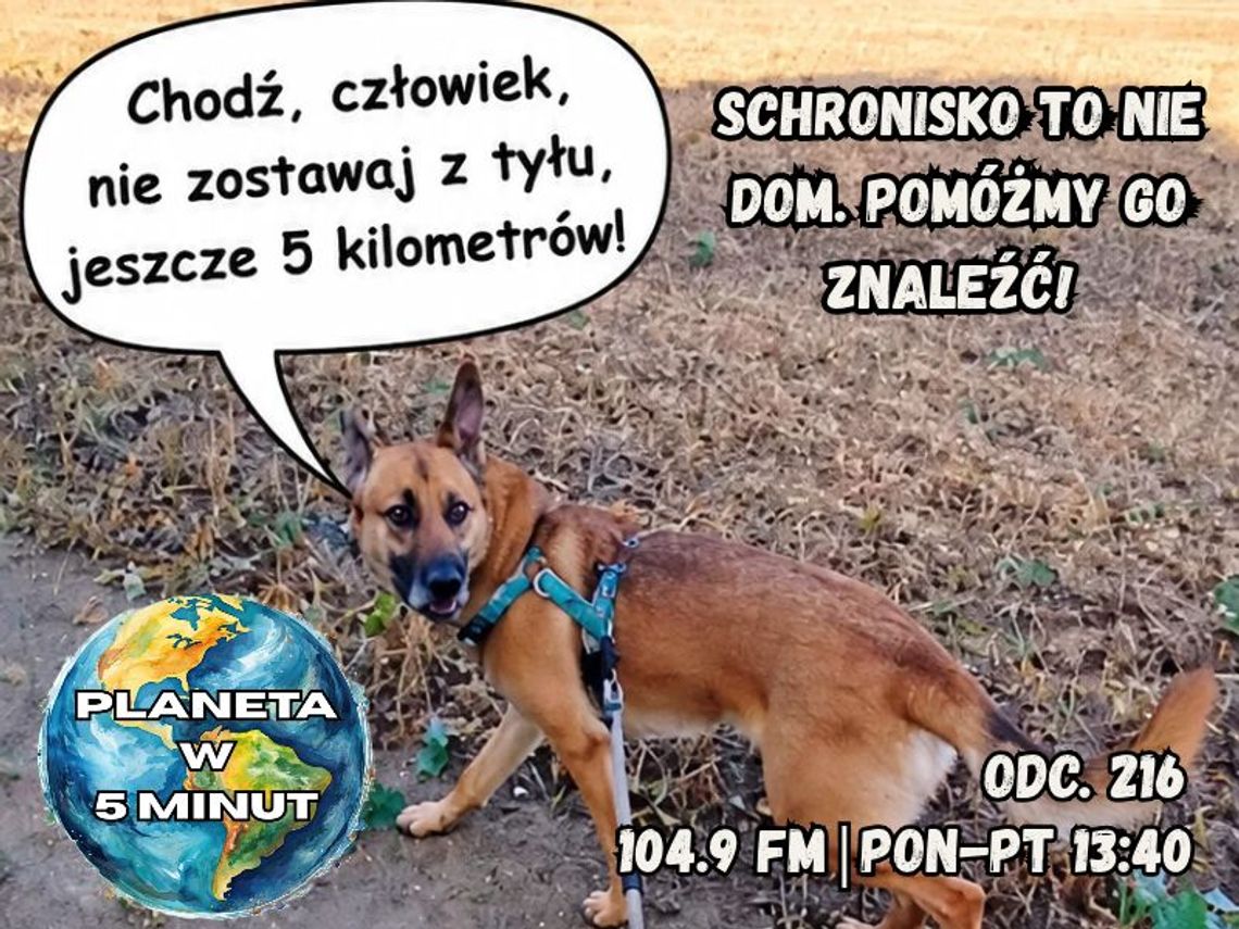 Planeta w 5 minut - odc. 216.