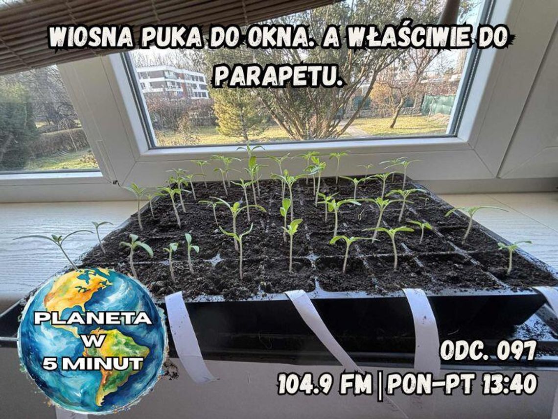 Planeta w 5 minut - odc. 97. Planeta w 5 minut - odc. 97.