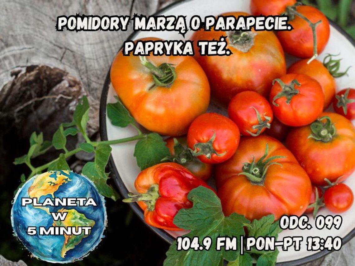Planeta w 5 minut - odc. 99.