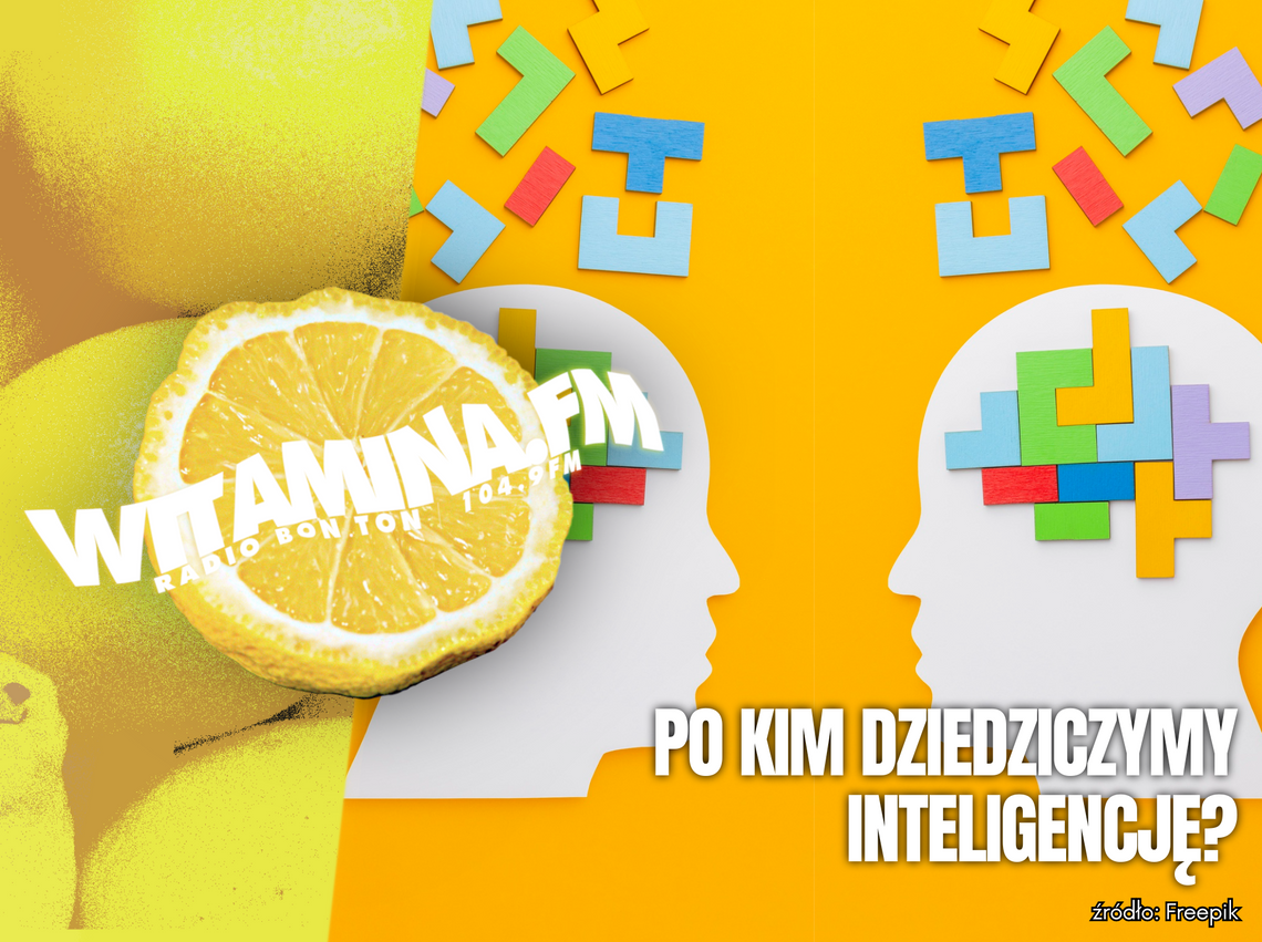 Po kim dziedziczymy inteligencję? - Witamina.FM Po kim dziedziczymy inteligencję? - Witamina.FM