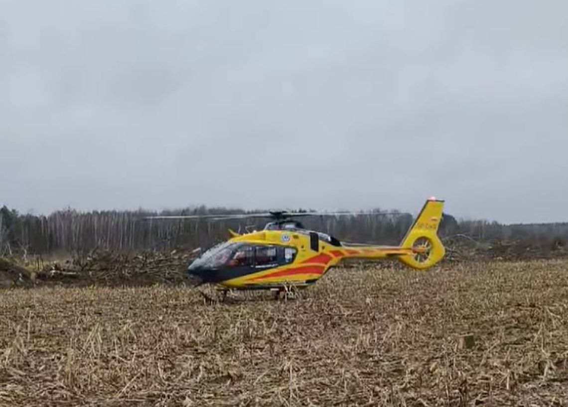Podczas wycinki upadające drzewo uderzyło mężczyznę. Zabrany do szpitala śmigłowcem LPR [FILM]