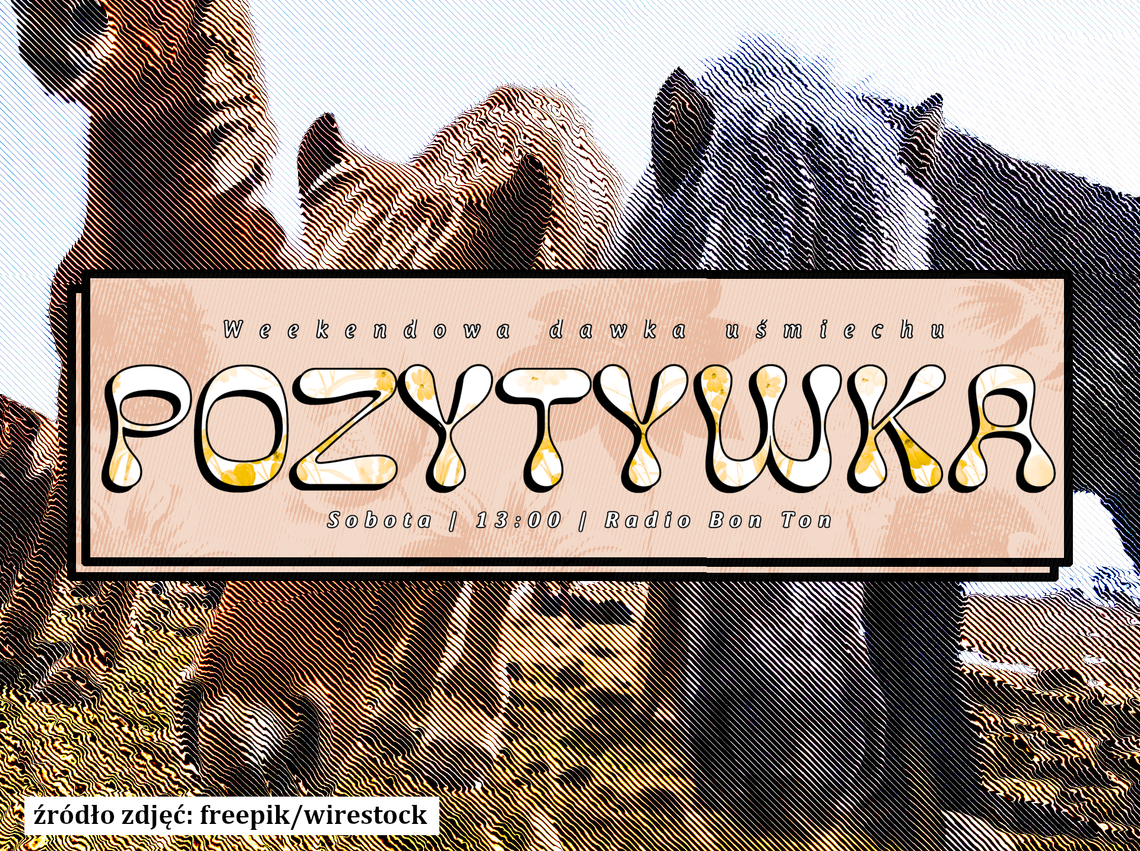 Pozytywka - Debiut! - 06.09.2025