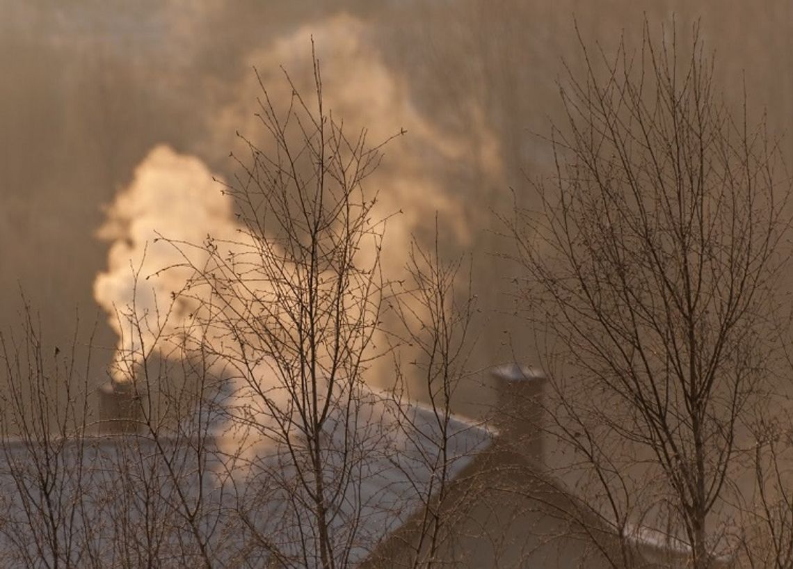 Smog w Chełmie to już duży problem. Zajmie się nim Urząd Miasta