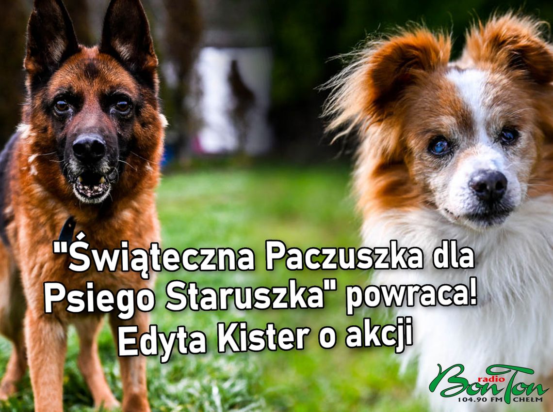 "Świąteczna Paczuszka dla Psiego Staruszka" powraca! Edyta Kister o akcji