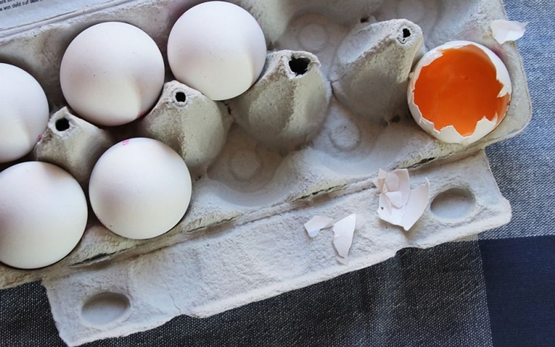 Uwaga na te jajka - wykryto w nich salmonellę