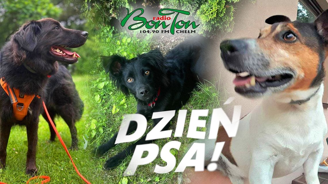 Wiadomości lokalne 01.07.2025 g. 13.30 Wiadomości lokalne 01.07.2025 g. 13.30