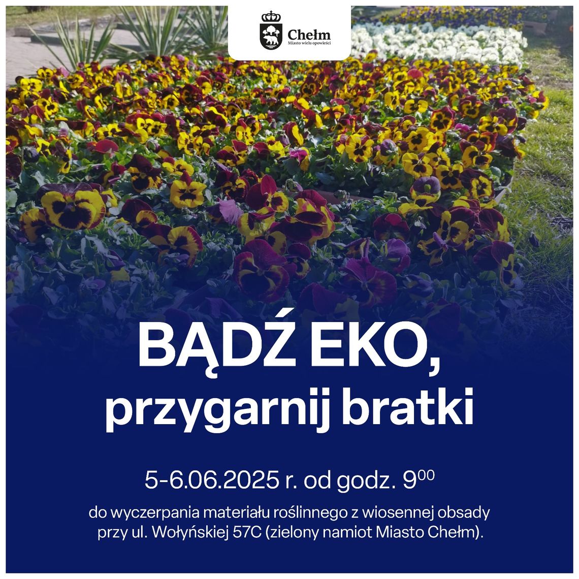 Wiadomości lokalne 04.06.2025 g. 11.30 Wiadomości lokalne 04.06.2025 g. 11.30