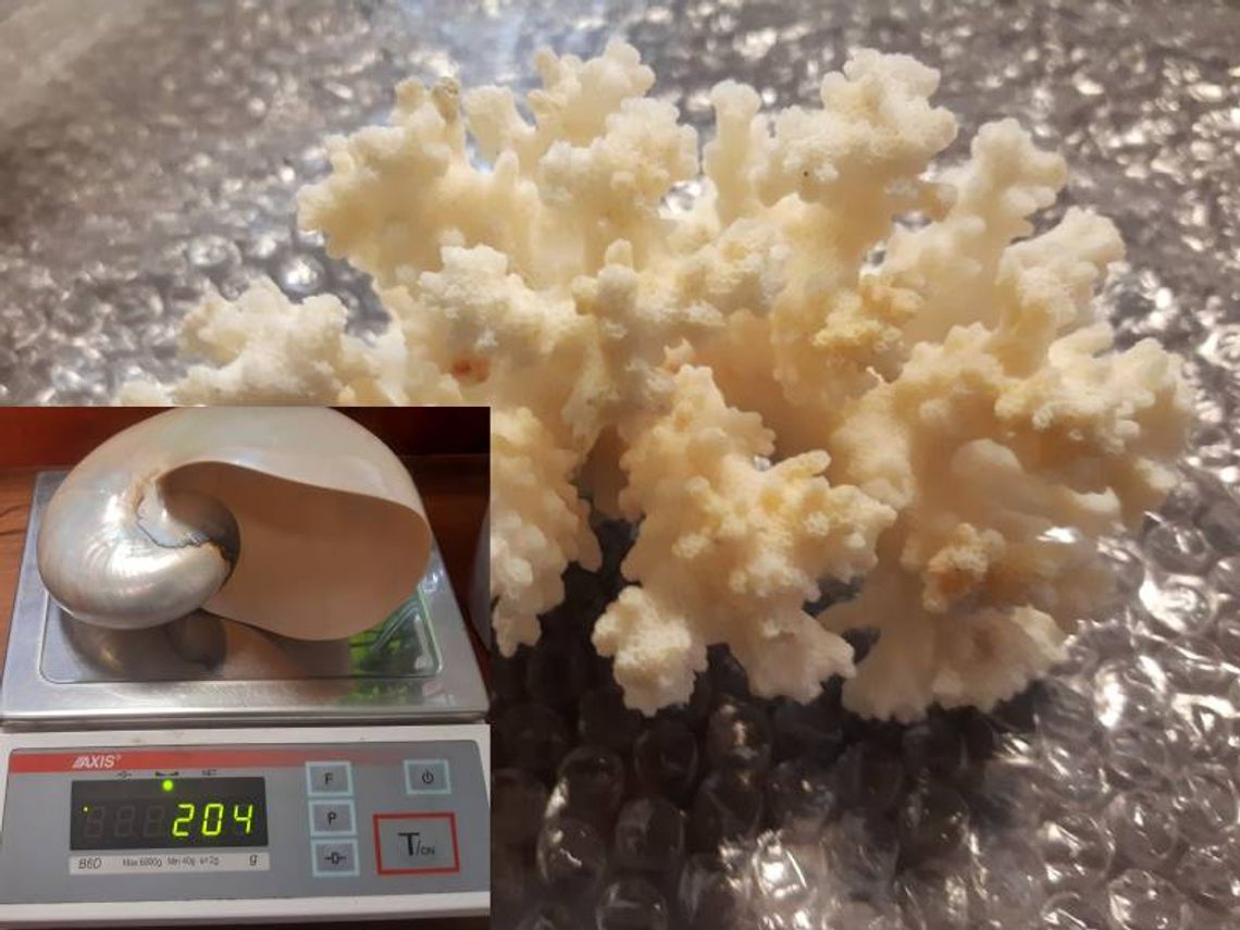 Wiadomości lokalne. Podróżny z Ukrainy próbował przewieźć nielegalny towar w bagażu Podróżny z Ukrainy próbował przewieźć nielegalny towar w bagażu przez granicę.