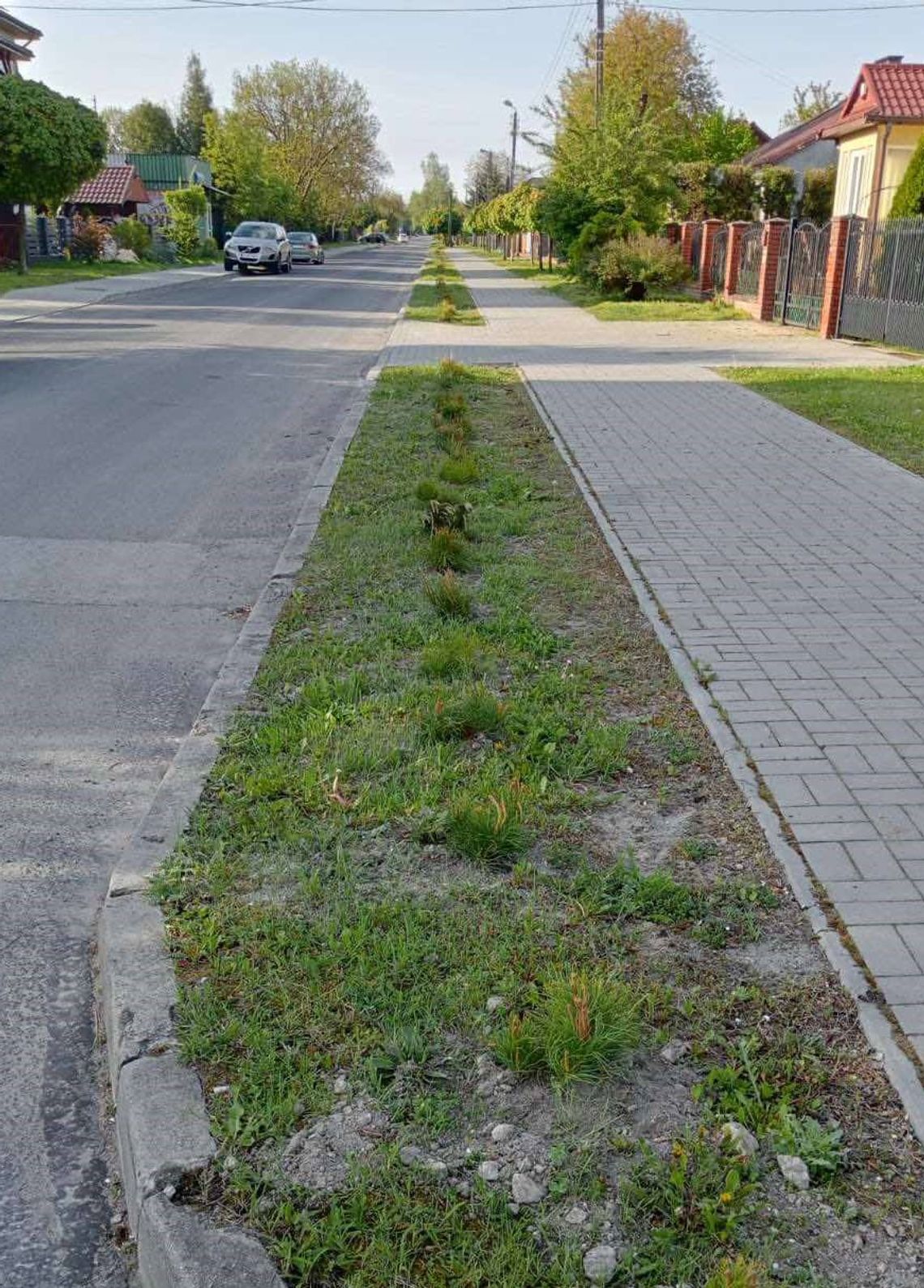 Wiadomości lokalne 15.05.2025 g. 9.30 Wiadomości lokalne 15.05.2025 g. 9.30