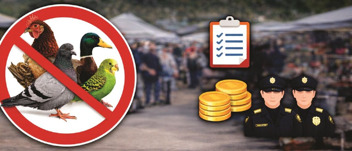 Wysoce zjadliwa grypa ptaków i spowodowany nią rzekomy pomór drobiu na terenie województwa lubelskiego.