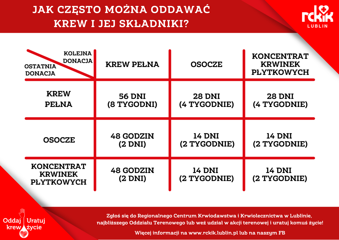Wiadomości lokalne 24.06.2025 g. 11.30 Wiadomości lokalne 24.06.2025 g. 11.30
