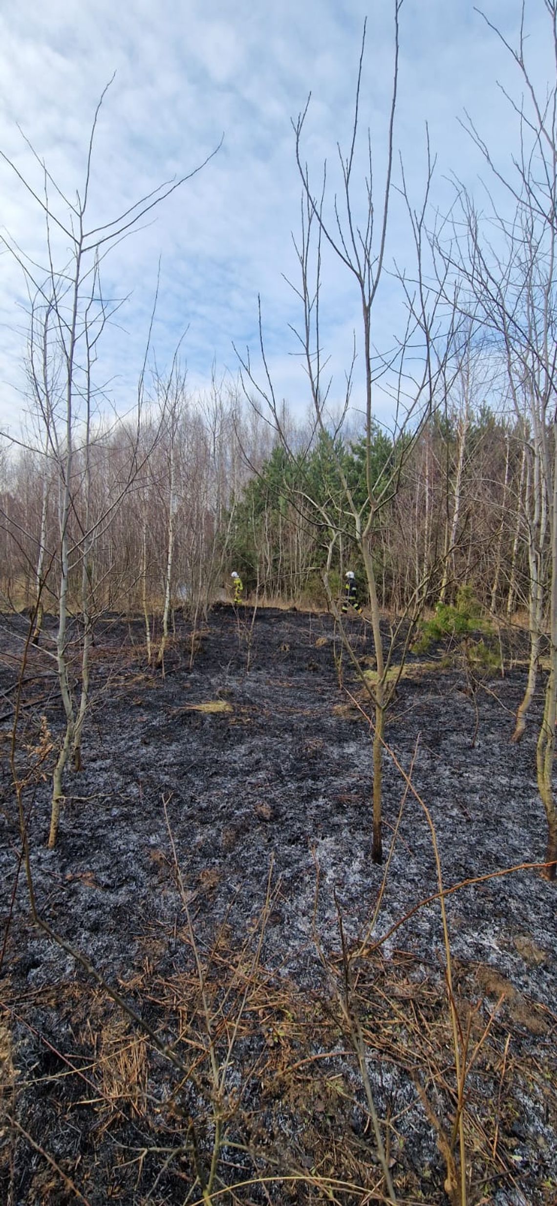 Wiadomości lokalne 3.04.2024 g. 11.30