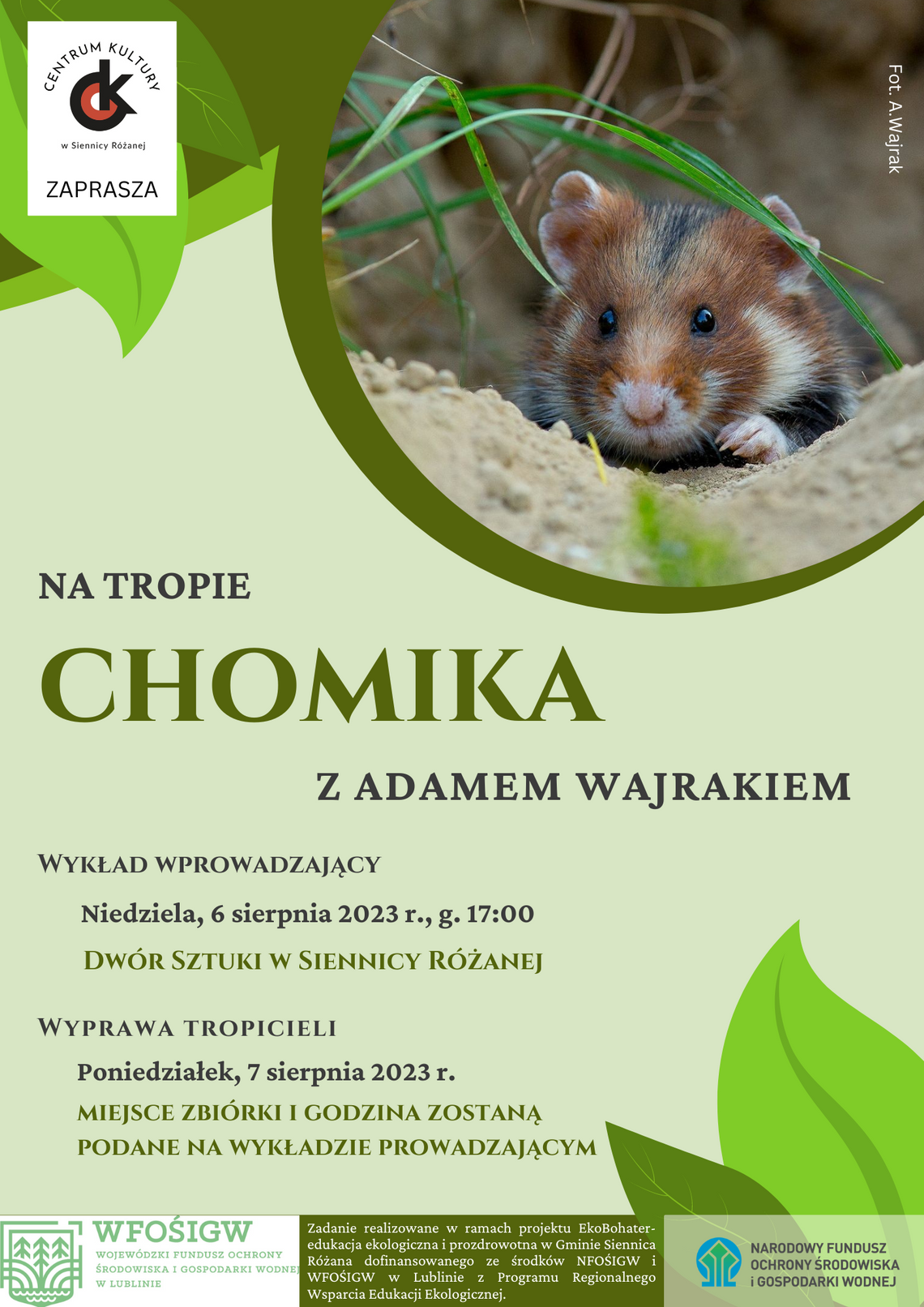 Wiadomości lokalne 3.08.2023 g. 13.30
