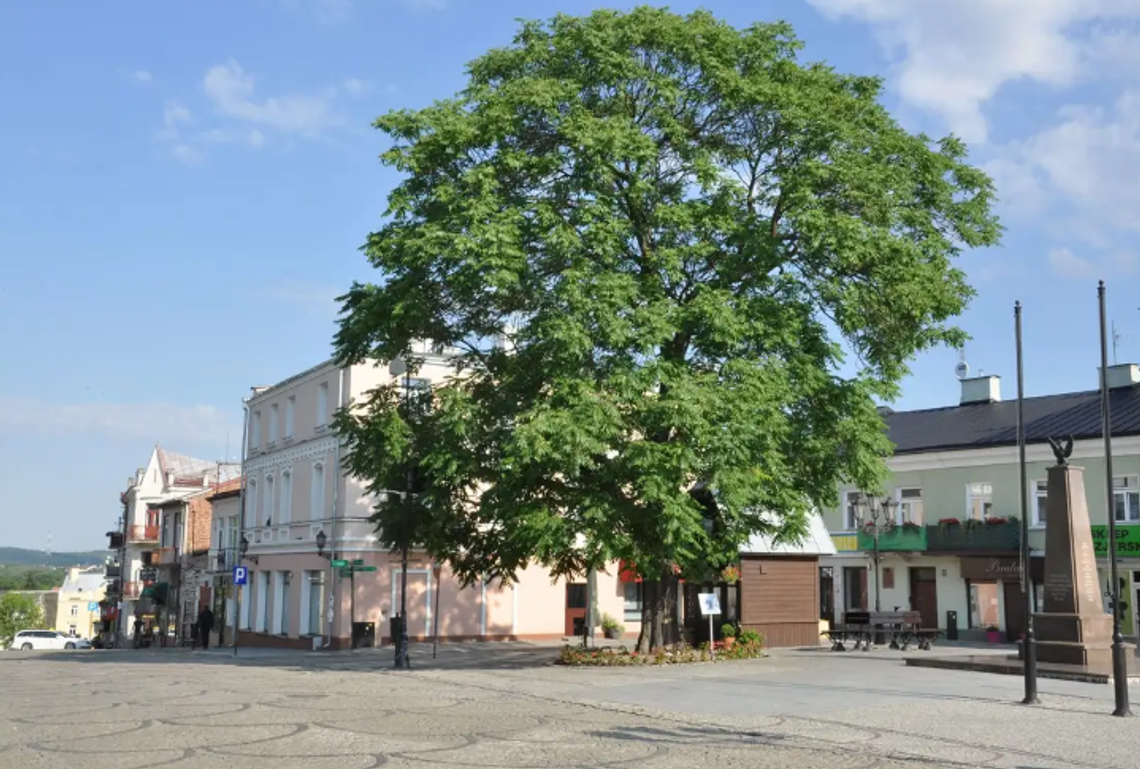Wiadomości lokalne 5.01.2023 g. 13.30