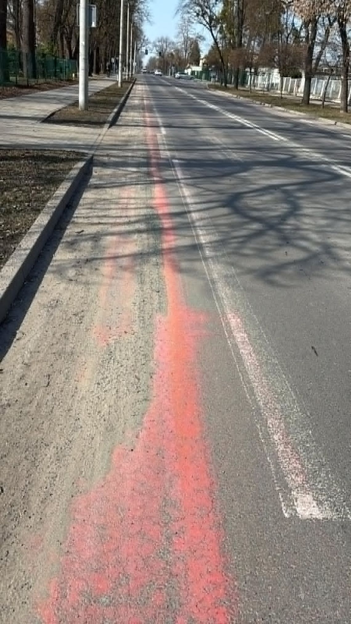 Wiadomości lokalne. Chełm: oznakowanie rowerowe do poprawy do końca maja