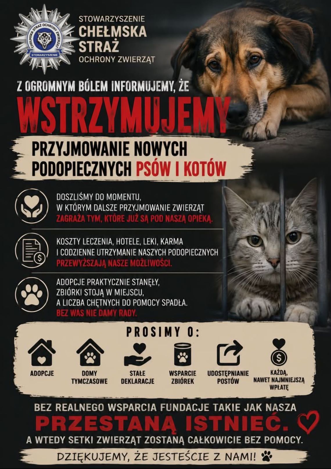 Chełmska Straż Ochrony Zwierząt w kryzysie.