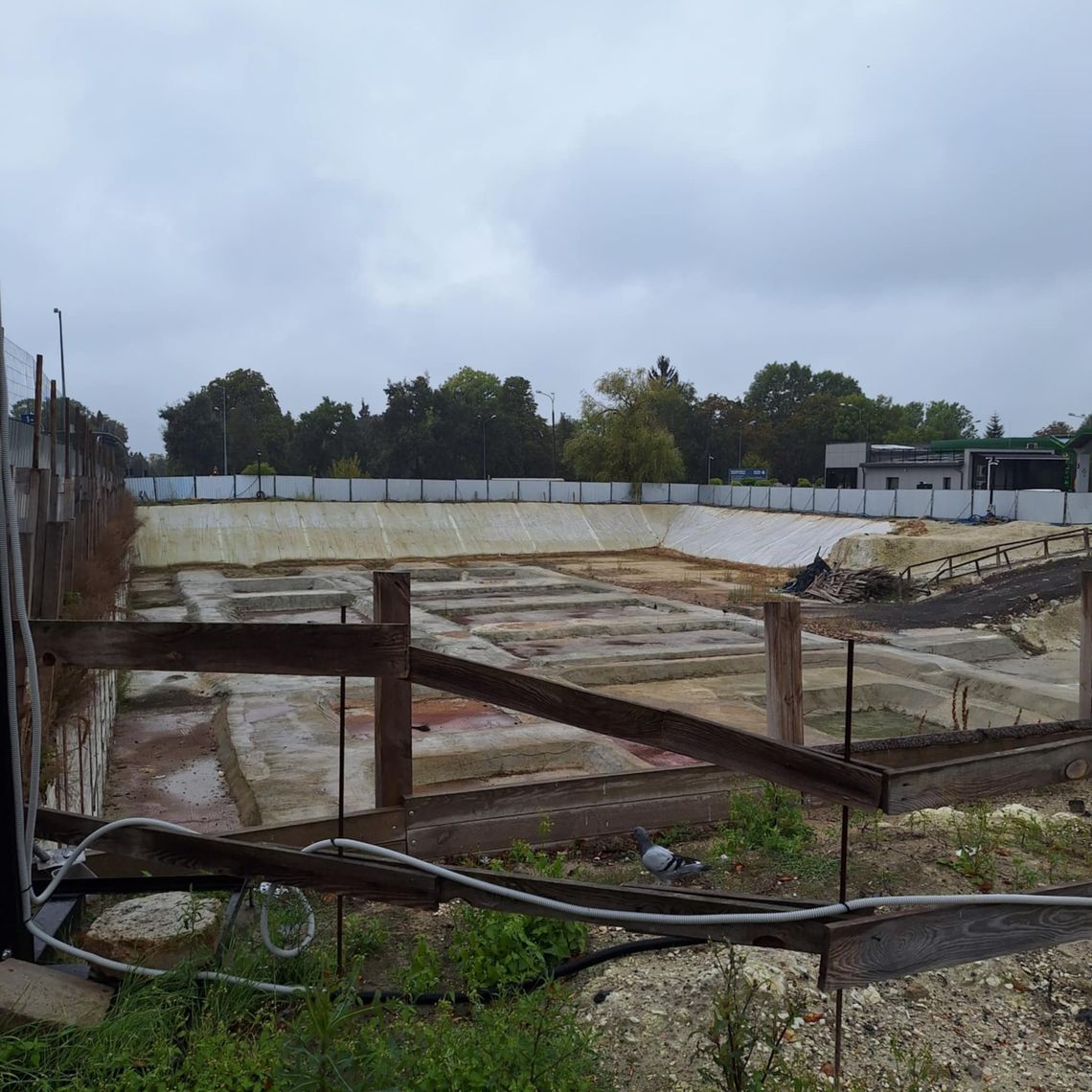 Wiadomości lokalne. Czy Fabryka Chełm ma szanse na przyszłość? Wyniki kwesty na chełmskich cmentarzach Wiadomości lokalne. Czy Fabryka Chełm ma szanse na przyszłość? Wyniki kwesty na chełmskich cmentarzach