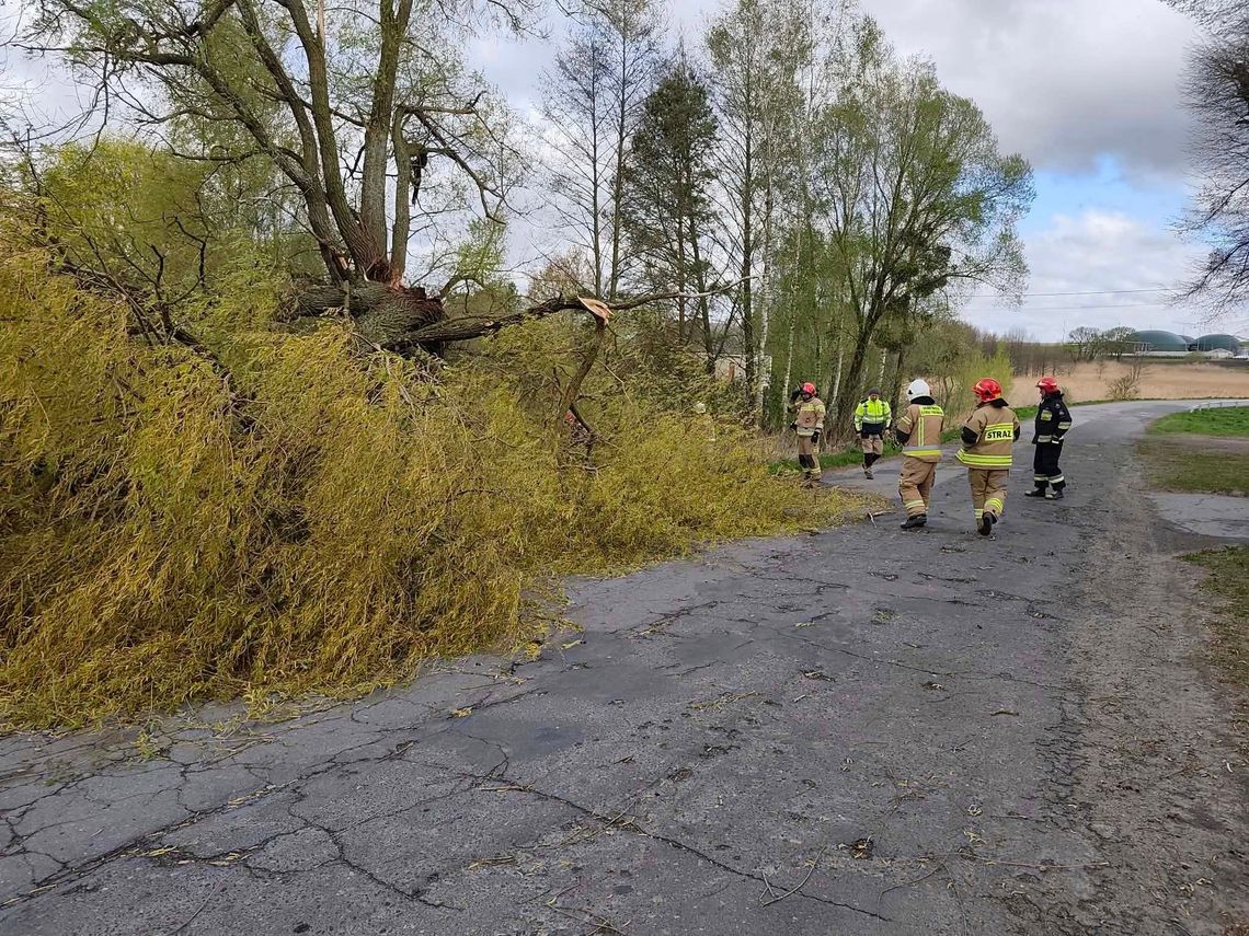 W niedzielę (26.04) strażacy prowadzili wiele działań na terenie powiatu chełmskiego oraz całego województwa lubelskiego.