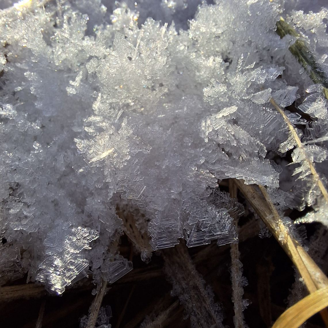 Wiadomości lokalne. Mróz nie ustanie. Ostrzeżenia synoptyków w Chełmie i powiecie chełmskim aktualne