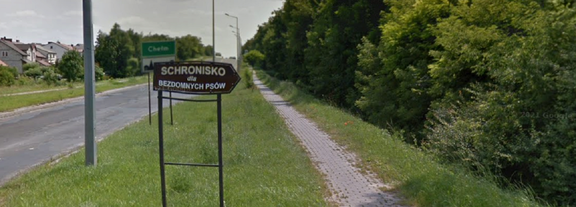 Wiadomości lokalne. Nowe schronisko dla zwierząt i grzebowisko w planach. Chełm rozpoczyna procedurę