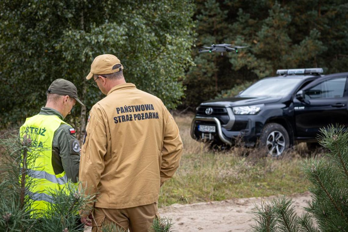 W lasach trwa akcja Majówka 26. Ma zapobiegać m.in. pożarom