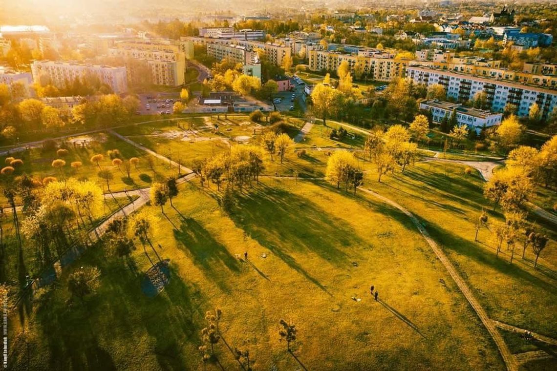 Wiadomości lokalne. Plan na upały i ulewy. Chełm pyta mieszkańców o zdanie