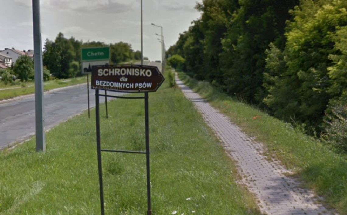 Wiadomości lokalne. Policja bada sytuację w schronisku przy Włodawskiej. Apel do świadków