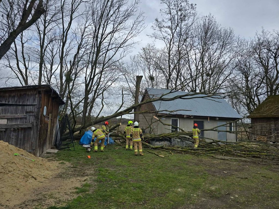 Wiadomości lokalne. Silny wiatr zniszczył dachy i powalał drzewa