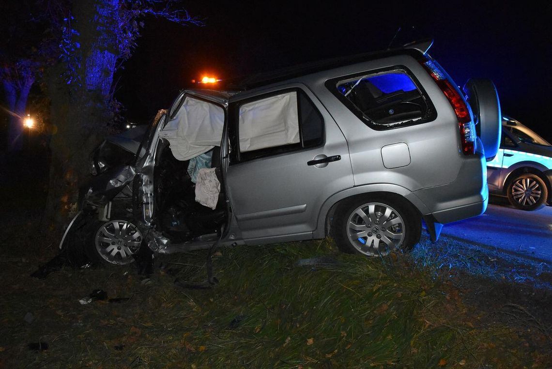 Wiadomości lokalne. Śmiertelne uderzenie w drzewo na krajowej dwunastce. Policja wyjaśnia okoliczności tragedii w Kamionce Wiadomości lokalne. Śmiertelne uderzenie w drzewo na krajowej dwunastce. Policja wyjaśnia okoliczności tragedii w Kamionce