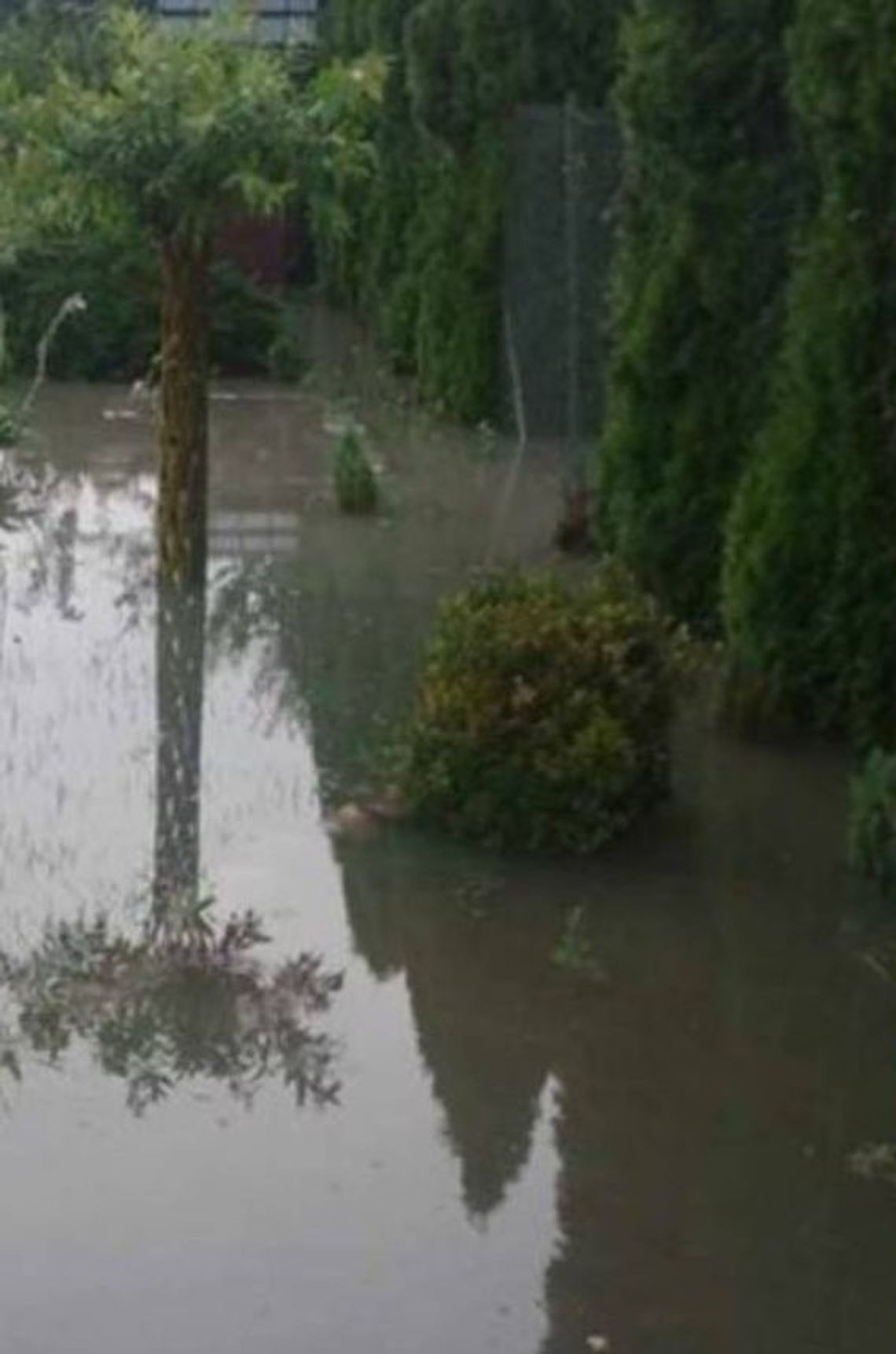 Wiadomości lokalne. Sprawa wylewów Uherki. Kto ma rozwiązać problem?