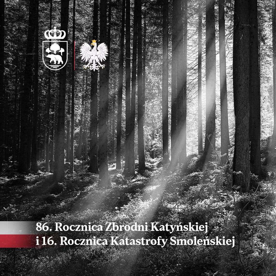Wiadomości lokalne - Władze Chełm połączą uroczystości upamiętniające ofiary Zbrodni Katyńskiej oraz Katastrofy Smoleńskiej Obchody odbędą się 13 kwietnia i rozpoczną się mszą świętą w Bazylice Narodzenia NMP.