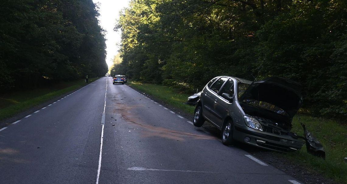 80-letni kierowca z Hrubieszowa, z nieznanych przyczyn, zjechał renault na przeciwległy pas i uderzył w peugeota prowadzonego przez 45-latkę z Chełma.